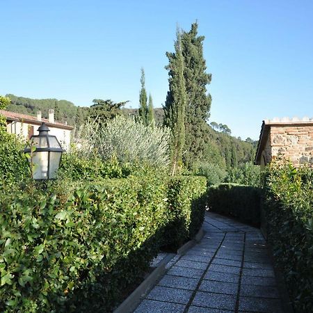 Ferienwohnung Monolocale Con Piscina S.Martino Riparbella Exterior foto
